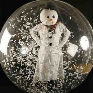 The Snow Globe