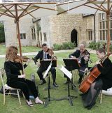 String Quartet