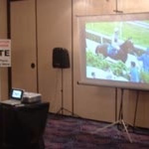 Video Horse Racing